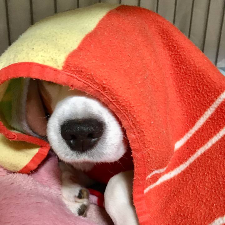 6b9342d3 46d7 4f5a 89a7 ca10a71b7afe 1549942957983