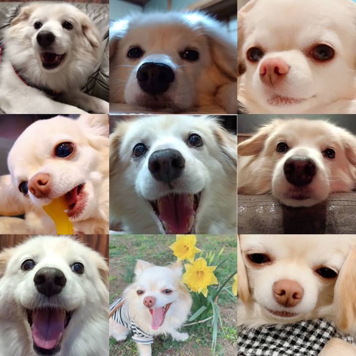 6b934323 9dc0 4bc9 b908 0884383e4ff0 1708770902350