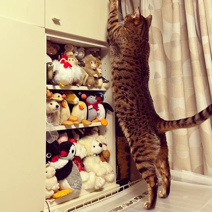 6b937bb9 99fe 4ec4 9ed4 945b125be635 1638484241199