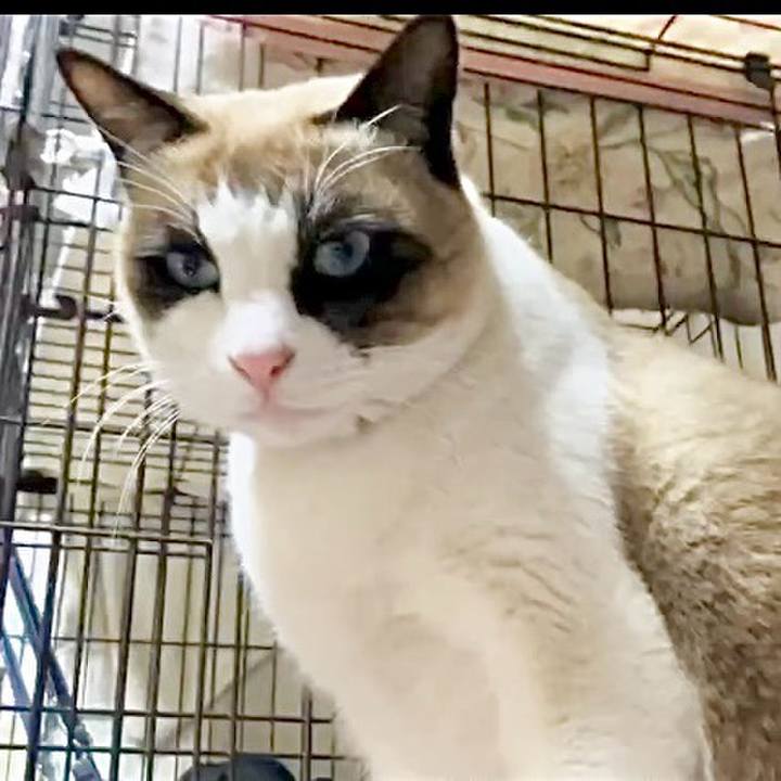 6b938ffb 3b67 4056 a9e6 76c29dc51501 1736855353442