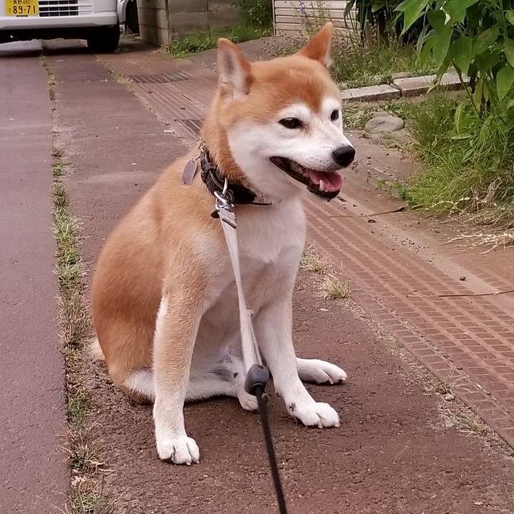 6b9391b4 d0d4 457f 9a66 9c75484b741e 1532772404676