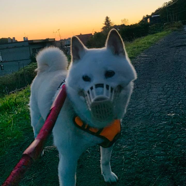 6b9411ac 4eea 4e59 85a7 ee82bbfc7d36 1665612754480