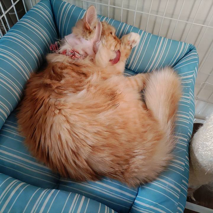 6b942559 dca7 4a1b ad20 67c29e3021ad 1683238212975