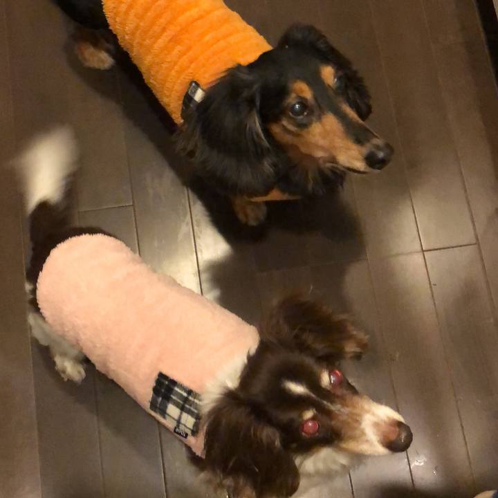 6b94335d 6c2c 40c7 90a3 d0f98a4874c4 1576107171893