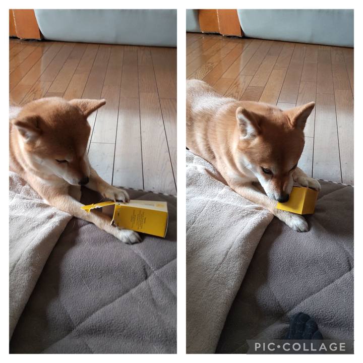 6b94a243 9510 45da 8e51 2e86885b2dd1 1707958821772