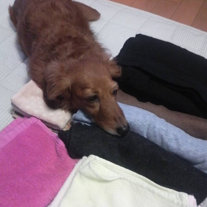 6b94c630 8758 4a44 9725 c666d80de7cc 1547310678275