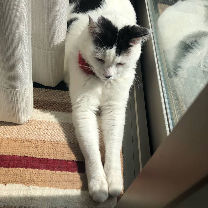 6b94ec3b 81e5 4e4b 8281 af67af9ebd69 1556515720774