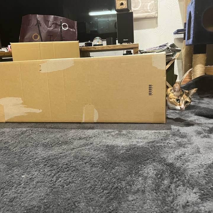 6b95029a 2fac 47ca b3c6 d9b1677f145e 1679310511549