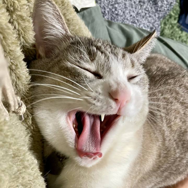 6b950a9b 854c 4890 9058 fd7de0c05a7f 1613215058372