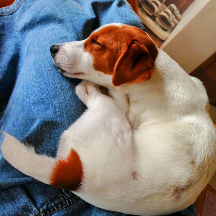 6b950b97 0564 4725 8a9c 22148e4344da 1774579967390