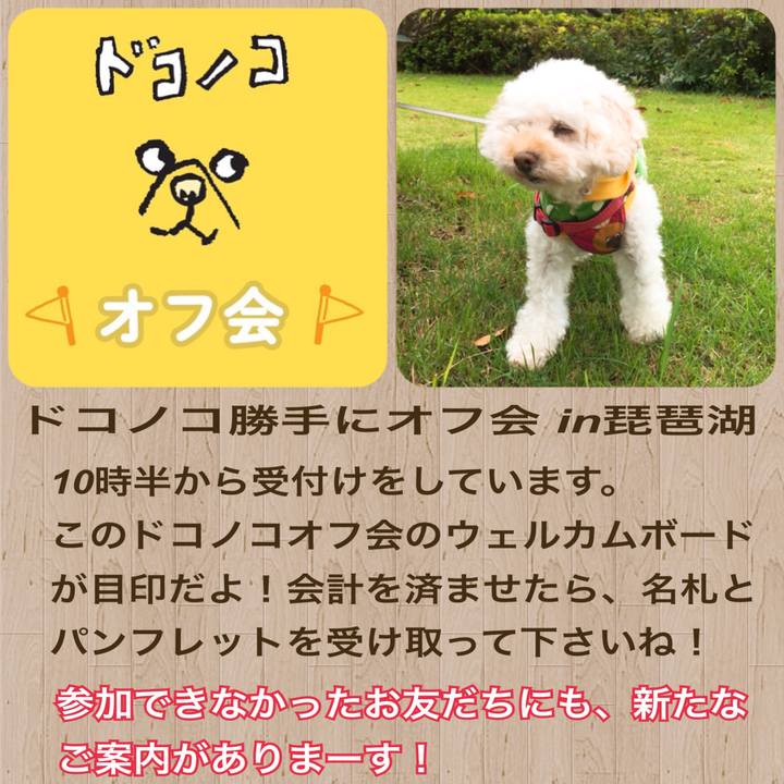 6b95221e 1080 47d6 ab18 9efded5690ca 1539056653637