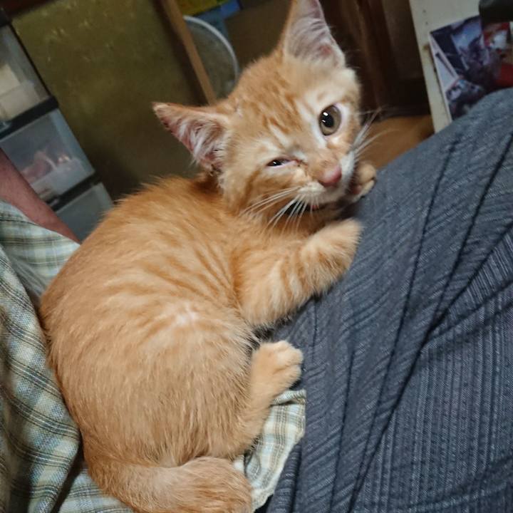 6b956b67 2d91 40f5 a109 f5a450b43913 1628335224879