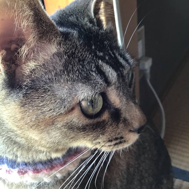 6b957226 5d18 45de b77f 99f5ad9ce448 1621735390189