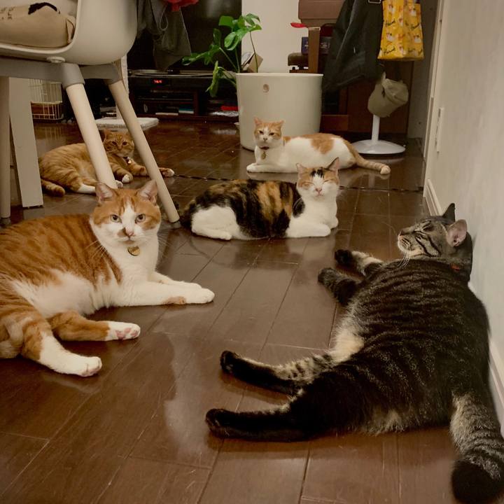 6b957546 af15 4c09 a9cc 1ffd8c48b11e 1600096555560