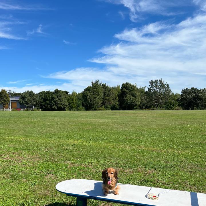 6b95a49f 7dd5 4671 a16e efa1f79b180b 1760324808343