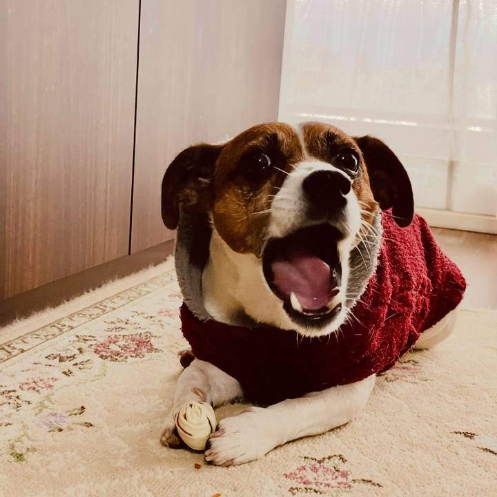 6b95db68 653e 4ace 9170 21d8f9be3ad0 1740635117208