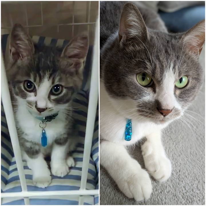 6b960361 6927 496e 957b 09c09d56f6c7 1746945594999