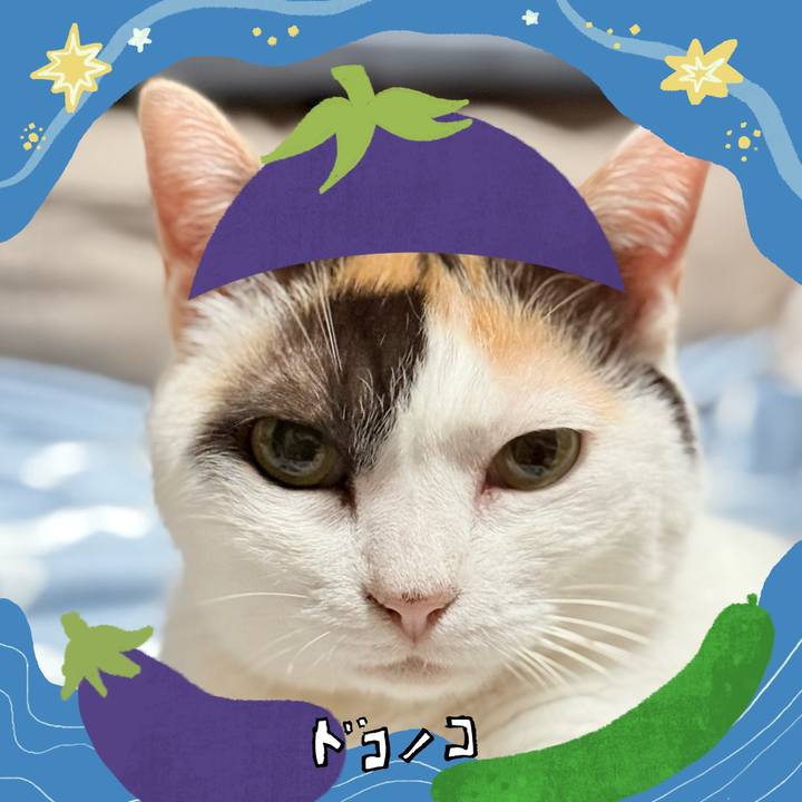 6b960631 0835 4523 a492 57469af19165 1755055555970