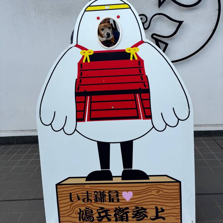 6b9609b3 8e56 41f6 a04a dc6af87fddc6 1766108991951