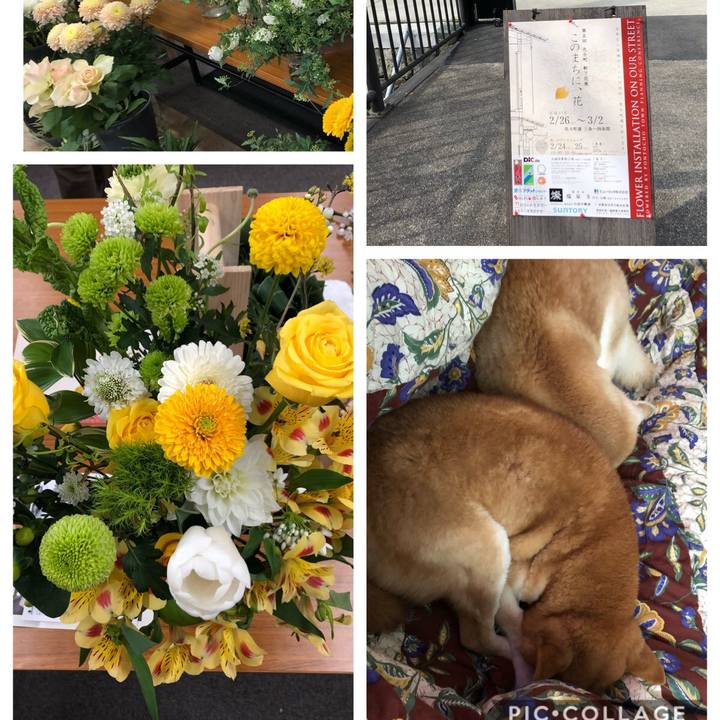 6b960b7f 38af 4fc5 9d3d f93c1d1af0ff 1550979022266