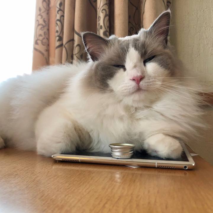 6b9620f8 74b6 4a77 9003 446bed2b53fa 1625179668454