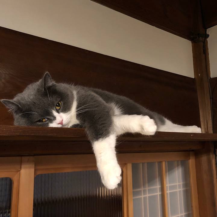 6b96227a aeaa 4430 9191 74db7b5a3698 1586473254703