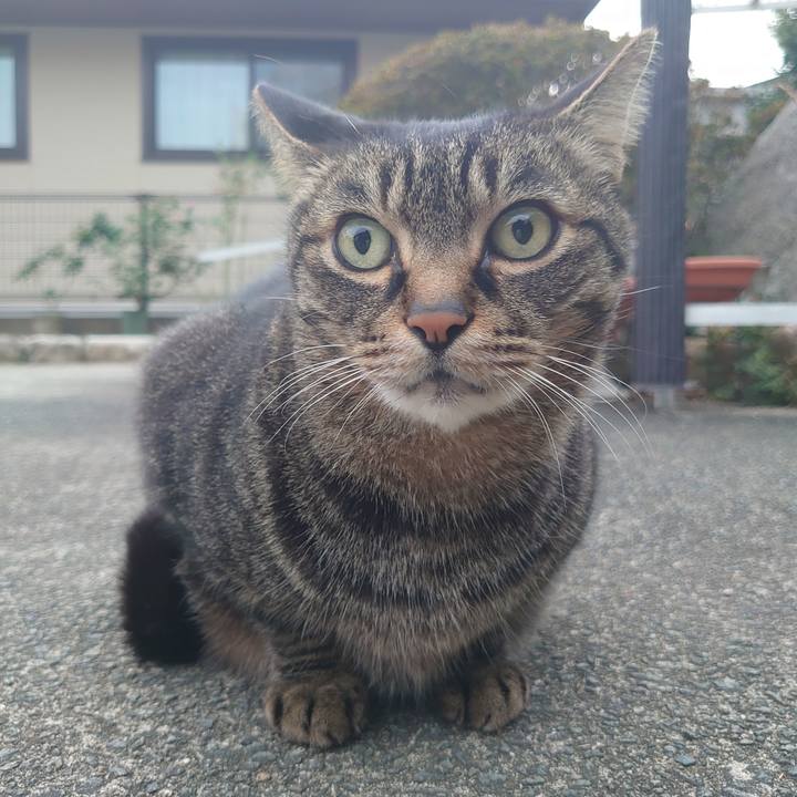 6b9640cd dbb0 452b 9f37 ba3f57ea2f41 1700985867550