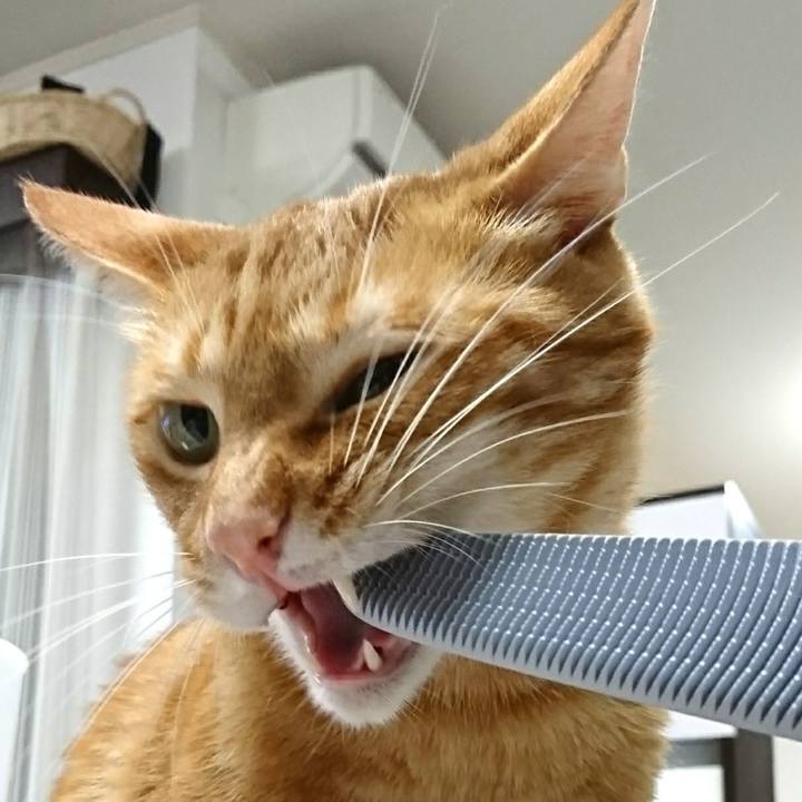 6b96471e 7a91 4b55 be4d be2f55fcdd46 1557559562514