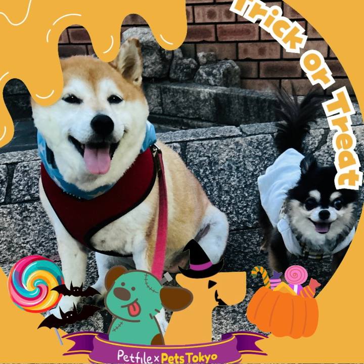 6b9652a3 7b12 4ae5 a8ba 48542c11725d 1726564180781