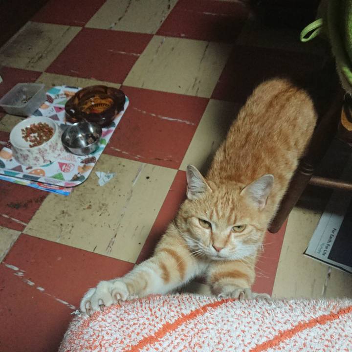 6b96f057 c46d 40b1 8f74 7d9eaab13c3d 1589274909162