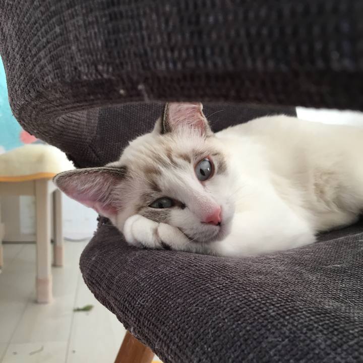 6b974664 2374 4e96 8851 347f2b1671b3 1511023711971