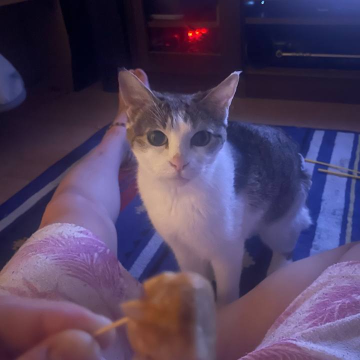 6b974ca2 60ac 44a6 a4c8 fdfd63121d98 1625751014305