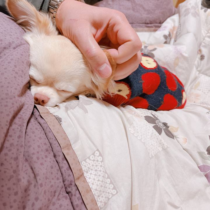 6b976512 9ab7 42e5 a92d 7223edb953ae 1673166922739