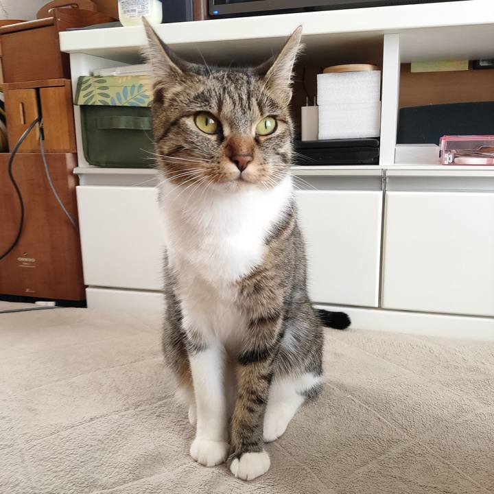 6b97c3d7 d75a 4f4a 8767 40b6dff39e35 1679273948919