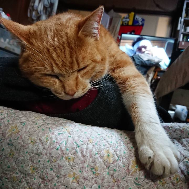 6b97c960 87d4 46d0 a67a 1677ed331231 1578388461442