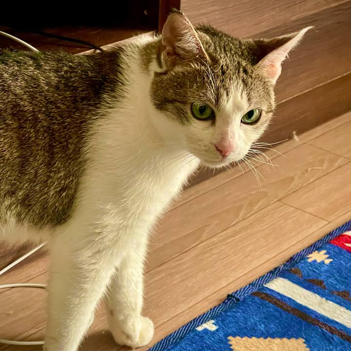 6b97ceff b8d6 4773 b7c6 5b1911078e3c 1626242998979