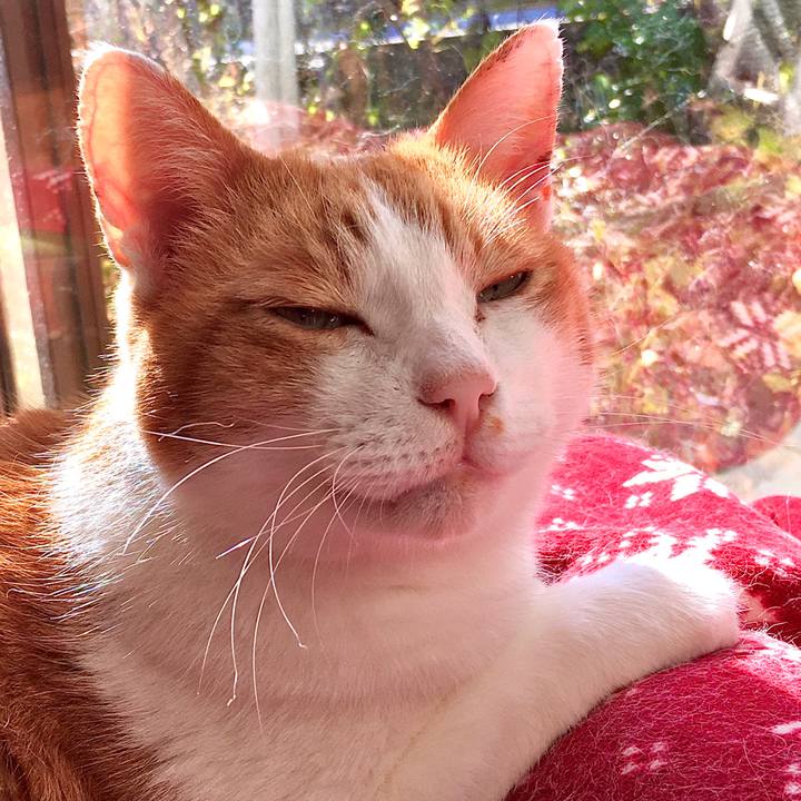 6b97eb6d 3218 4a76 be48 7d7aa15e363d 1573623601114