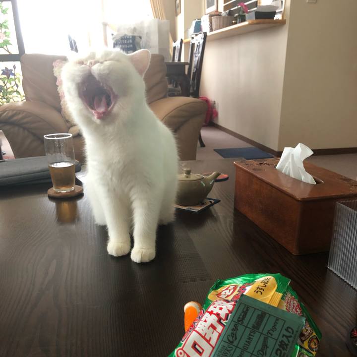 6b98000f 48ee 4276 9133 2be8490accfd 1569049377312