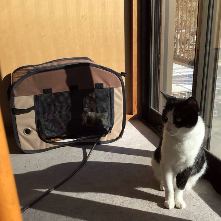 6b983a01 f7b1 406e 8fe6 23e884baff43 1700473893420