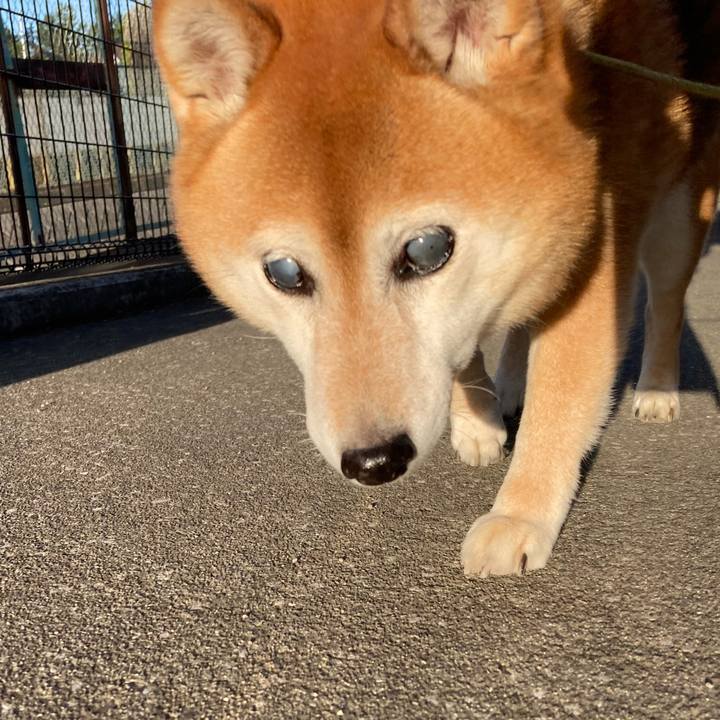 6b983a7d b867 4dec a835 c7b5d8e69660 1684922615345