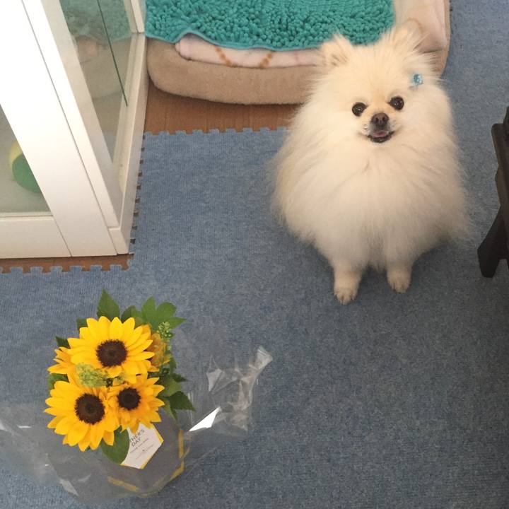 6b983ac0 240f 43fb 9642 33646d1311fc 1592463057120