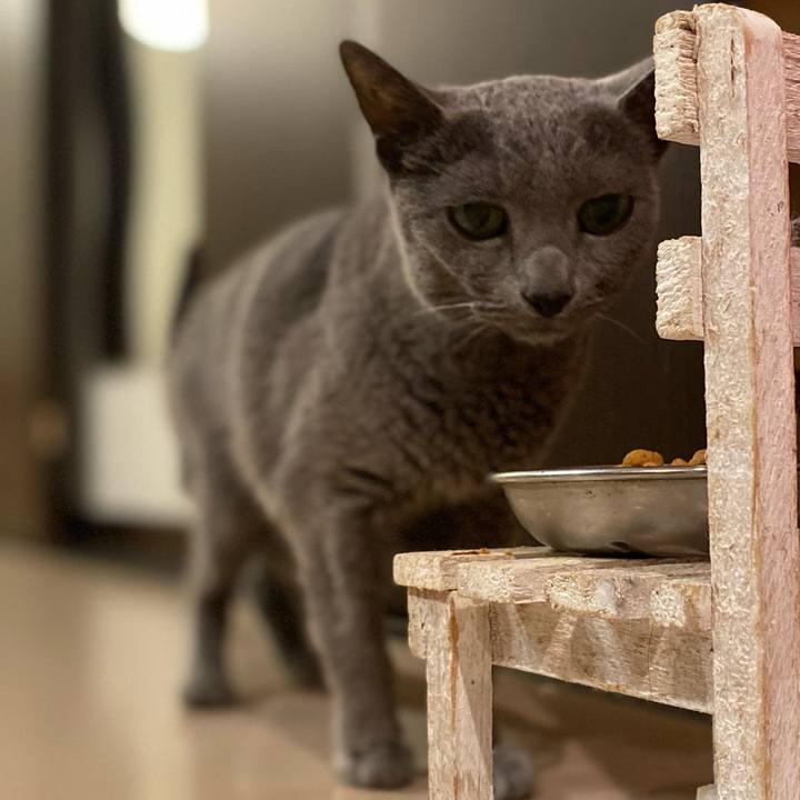 6b9846de 8f0a 4d56 9a21 591e227b6dcb 1629502434725