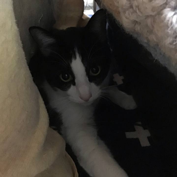 6b9849c0 cbb0 478b 9741 60a652752b04 1738831069561