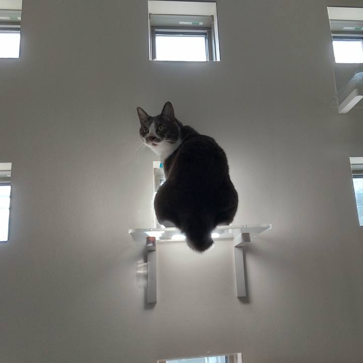 6b9852df 8649 467c bb71 c47d2ba2b1e0 1632783137249