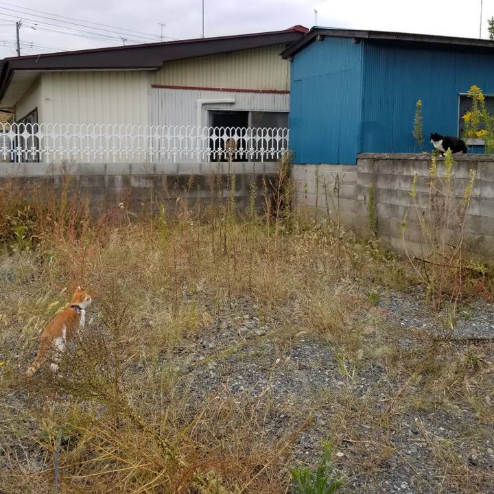 6b98b3b0 5539 489f 9463 331cbbc0dae6 1539502938989