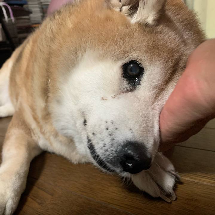 6b98b4fa b4f8 408d 9221 7b9ccca7d18a 1627358415695