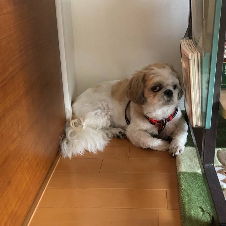 6b98c1b1 a3c7 4241 90fd 9cb0eec2d77f 1565910290038