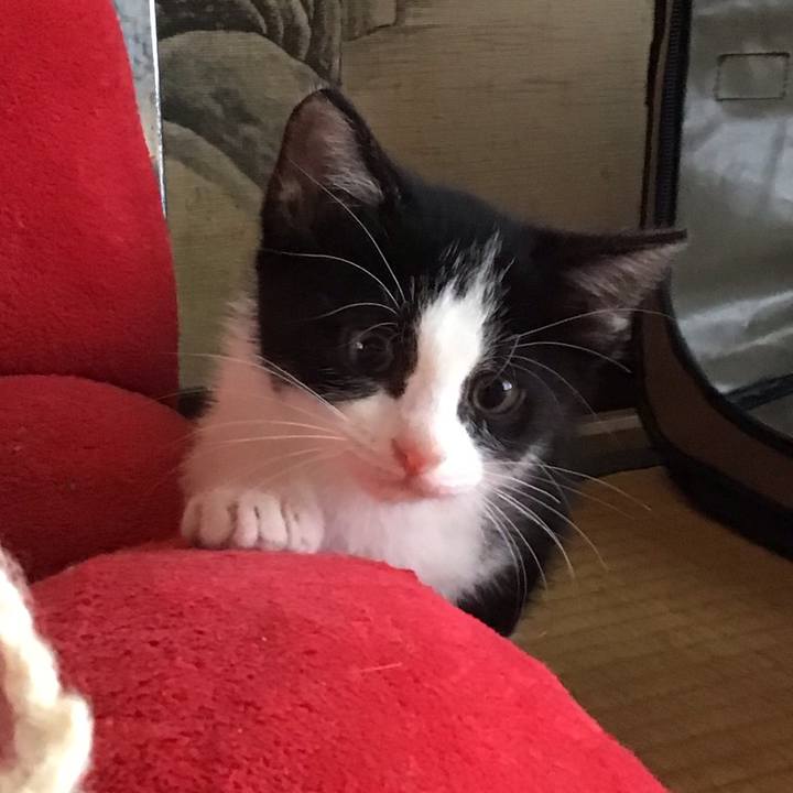 6b98e621 2d85 43b4 9da2 bd8f482b2962 1624240358410