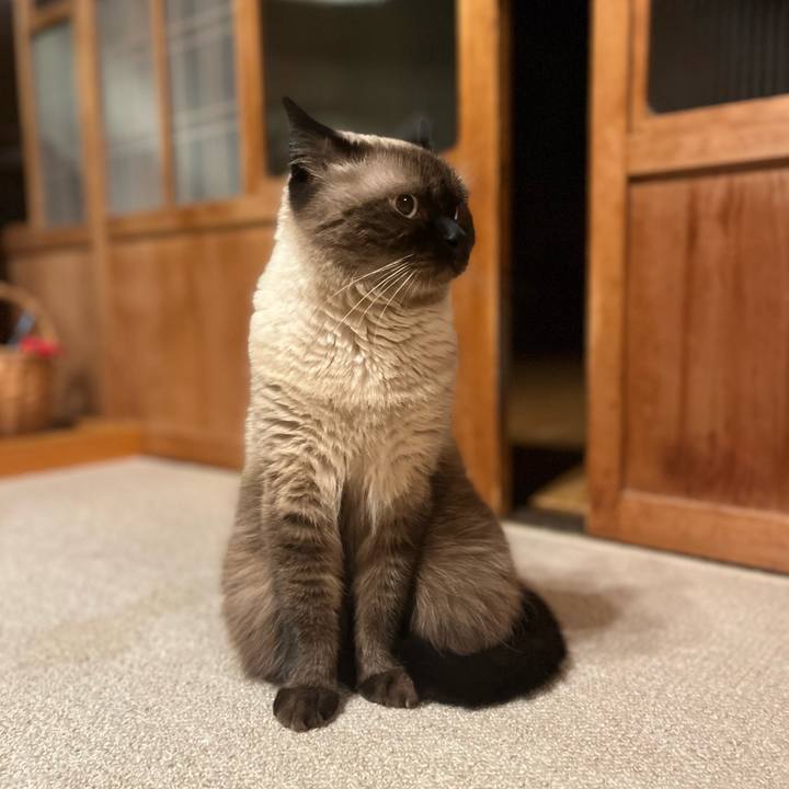 6b990456 1bf2 4009 935c d6bb80ea6919 1695381204862