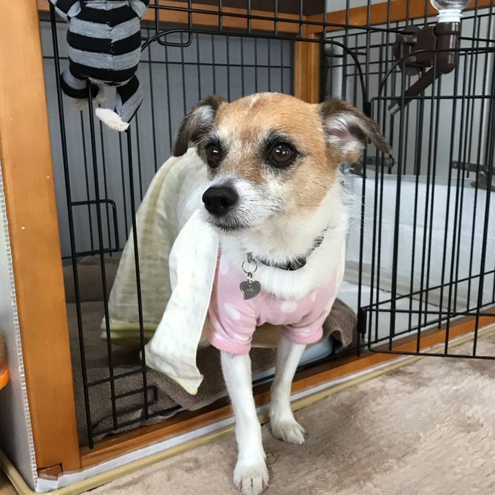 6b9918a9 1d63 4c72 8886 f264b27d5a73 1564008910207